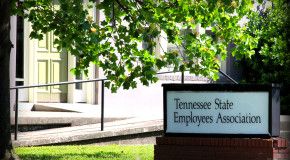 TSEA Retiree Luncheons