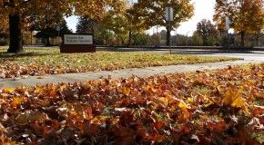 TSEA Scholarship materials are now available