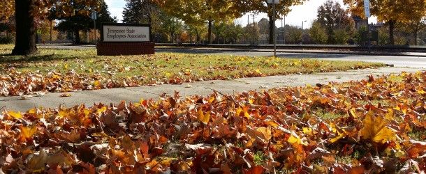 TSEA Scholarship materials are now available