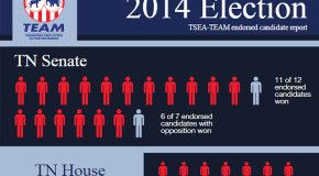 How did TEAM’s endorsed candidates do this election cycle?