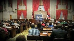 TSEA Lobby Day 2017