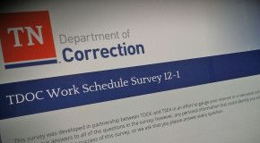 TDOC work schedule survey underway