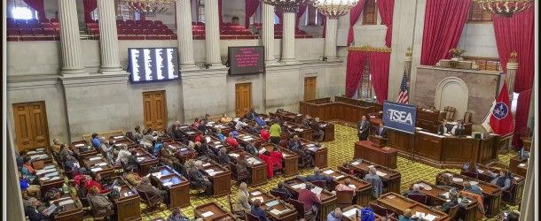 TSEA Lobby Day 2016 recap