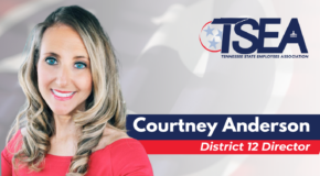 TSEA Board Of Directors Appoints Courtney Anderson to Represent District 12