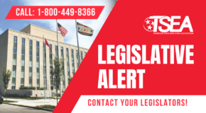 Take Action Now: Support Paid Leave for Tennessee State Employees
