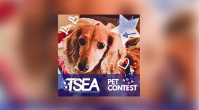 TSEA PET CONTEST WINNERS