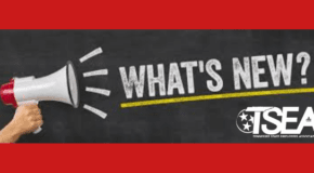 Important TSEA Calendar updates